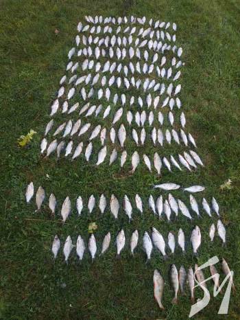 ��������� � ��������� ������ ������� ���� �� ����� 15 ���.��� ������